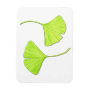 Ginkgo Leaves Flexi Magnet Magneet