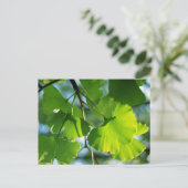 Ginkgo Leaves in Summer Briefkaart (Staand voorkant)