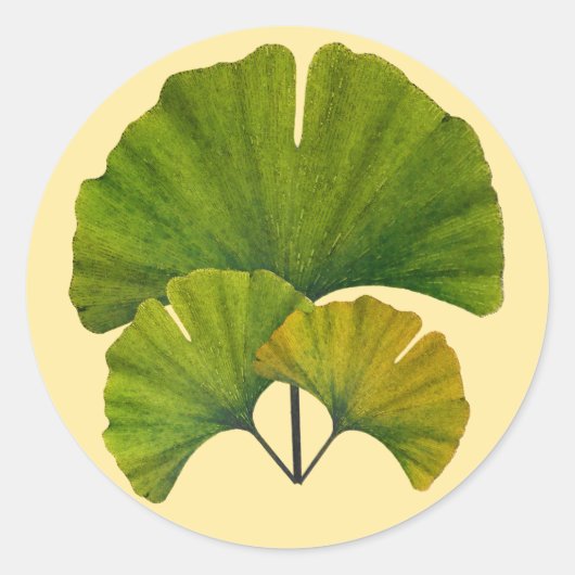 Ginkgo Leaves Ronde Sticker (Voorkant)
