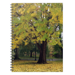 Ginkgo Tree in de Herfst Notitieboek