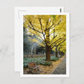 Ginkgo Trees: Meiji Jingu Gaien, Tokio Briefkaart (Voorkant / Achterkant)