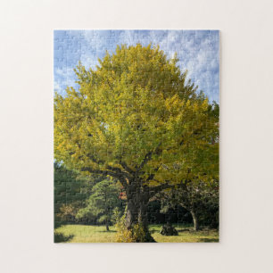 Ginkgoboom van Gulden Geel Legpuzzel