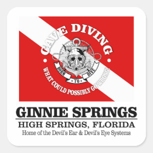 Ginnie Springs (best caves) Vierkante Sticker