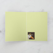 Ginny la carte canard (Intérieur)