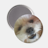 Ginny Pop Magnet Magneet (Voorkant / Achterkant)