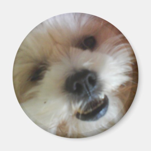 Ginny Pop Magnet Magneet (Voorkant)