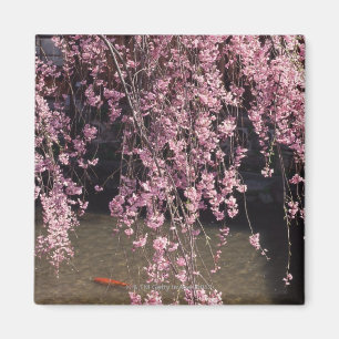 Gion, Kyoto prefectuur, Japan Magneet