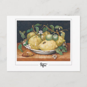 Giovanna Garzoni #4 - Kunstkaart Briefkaart