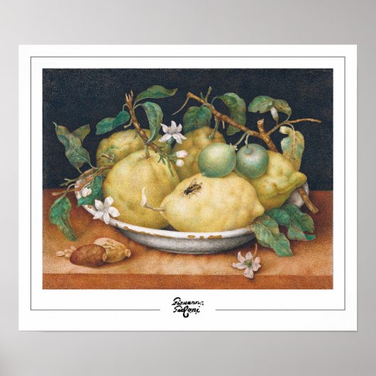 Giovanna Garzoni Zedign Affiche #4 (Devant)