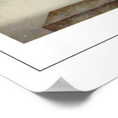 Giovanna Garzoni Zedign Art Poster #17 (Hoek)