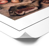 Giovanna Garzoni Zedign Art Poster #20 (Hoek)