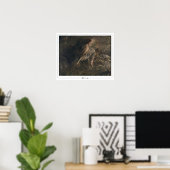 Giovanni Boldini Zedign Affiche d'art #322 (Bureau à domicile)
