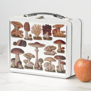 gipsplaat voor botanische druk  paddenstoelen