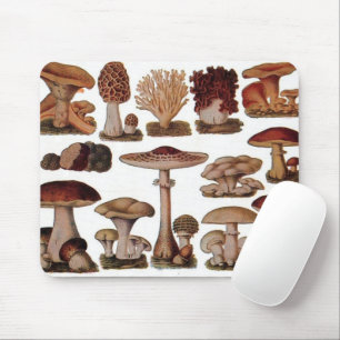 gipsplaat voor botanische druk paddenstoelen muismat