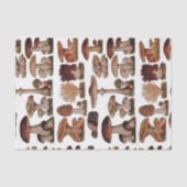 gipsplaat voor botanische druk  paddenstoelen tissuepapier (Voorkant)