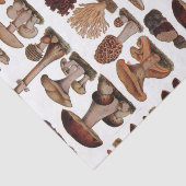 gipsplaat voor botanische druk  paddenstoelen tissuepapier (Detail)