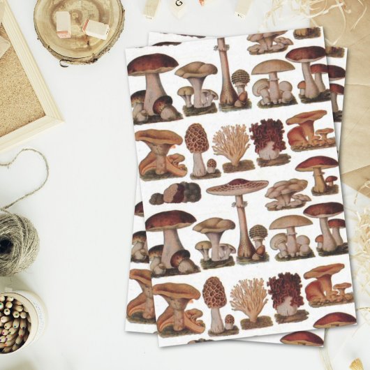 gipsplaat voor botanische druk  paddenstoelen tissuepapier
