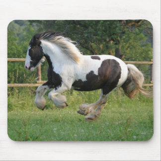 Gipsy paardenmousepad muismat
