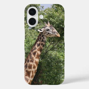 giraf iPhone 16 hoesje