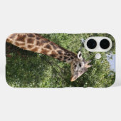 giraf Case-Mate iPhone case (Achterkant (horizontaal))
