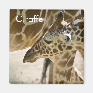 Girafe • Aimant