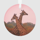 Girafe au ciel rose (dos)