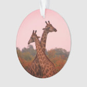 Girafe au ciel rose (devant)