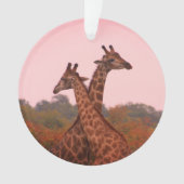 Girafe au ciel rose (devant)