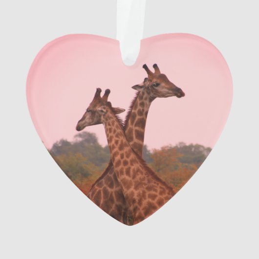 Girafe au ciel rose (dos)