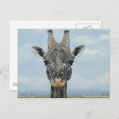 Girafe in Kenia Briefkaart (Voorkant / Achterkant)