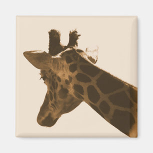 girafe réticulée en aimant sépia