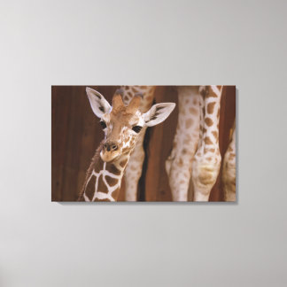 Girafe sur toile