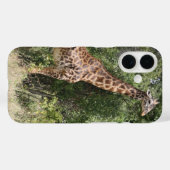 girafernek Case-Mate iPhone case (Achterkant (horizontaal))