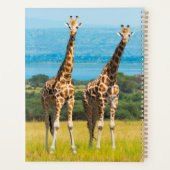 Girafes dans la savane, Ouganda (Dos)