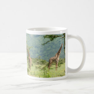 Girafes de masai dans la tasse de Serengeti