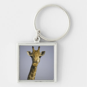 Giraffa Camelopardalis Sleutelhanger