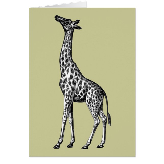 Giraffe (Voorkant)