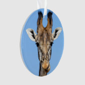 Giraffe (devant)