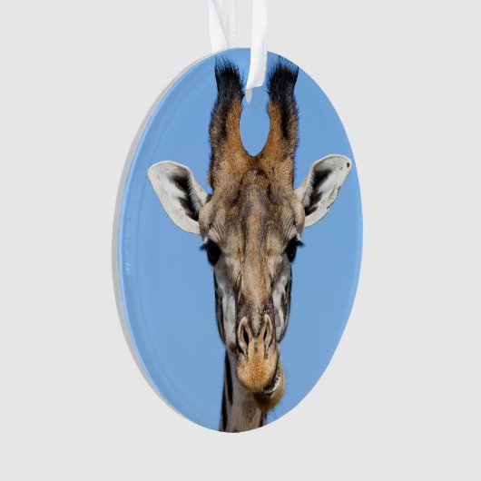Giraffe (devant)
