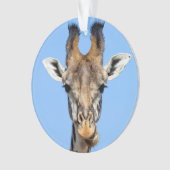 Giraffe (devant)