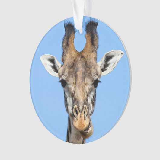 Giraffe (devant)