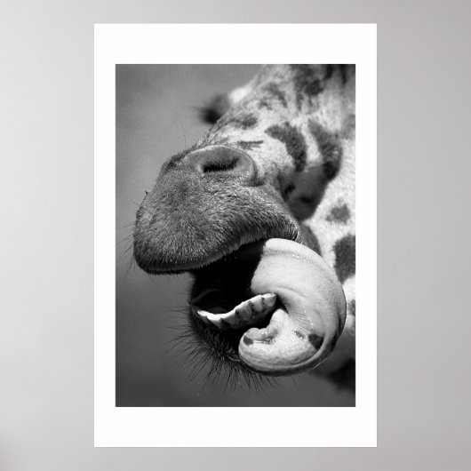 Giraffe#1 Poster (Voorkant)