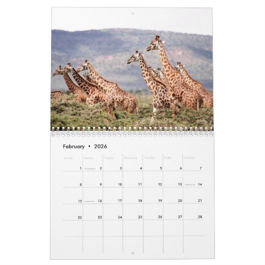 Giraffe 2025 kalender (Feb 2026)