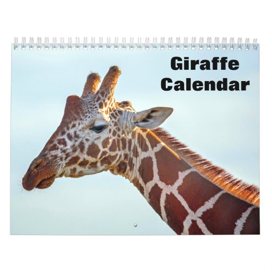Giraffe 2026 kalender (Hoes)