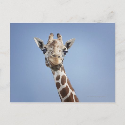 GIRAFFE 2 BRIEFKAART (Voorkant)