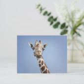 GIRAFFE 2 BRIEFKAART (Staand voorkant)