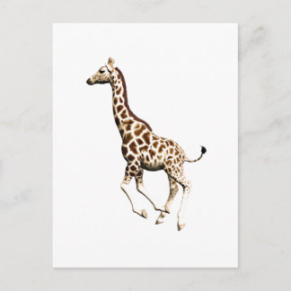 GIRAFFE 3 BRIEFKAART