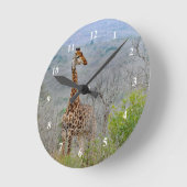 Giraffe 4 Klok (Hoek)