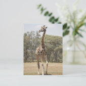 GIRAFFE 5 BRIEFKAART (Staand voorkant)