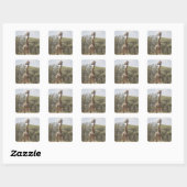 GIRAFFE 5 VIERKANTE STICKER (Vel)